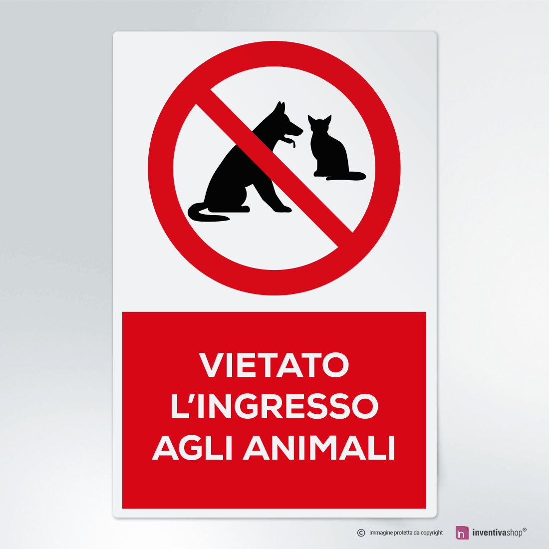 Cartello PVC 'Vietato Cani' – 21x30 Cm, Norme UNI E ISO, Per Esterni E Interni, Classe A E B - 3