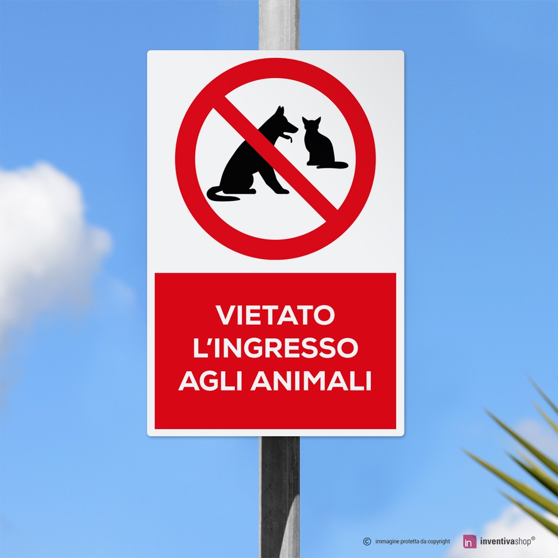 Vietato L Ingresso Ai Cani E Agli Italiani