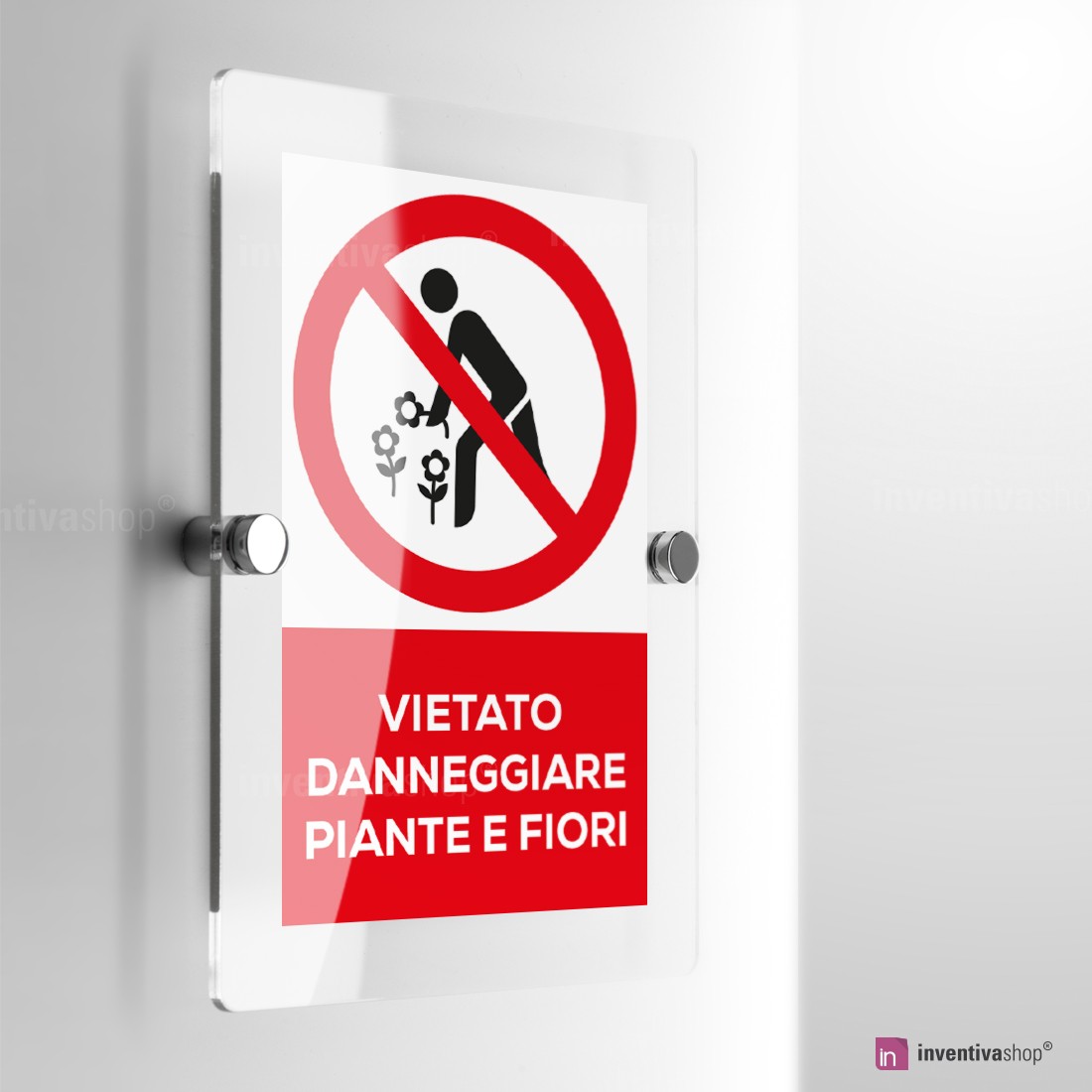 Plexiglass & Idee originali: Vaso composizione piante grasse in